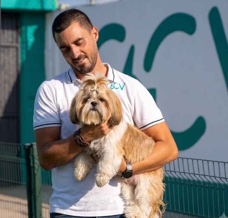 Imagen de adiestramiento canino de un Shih TZU