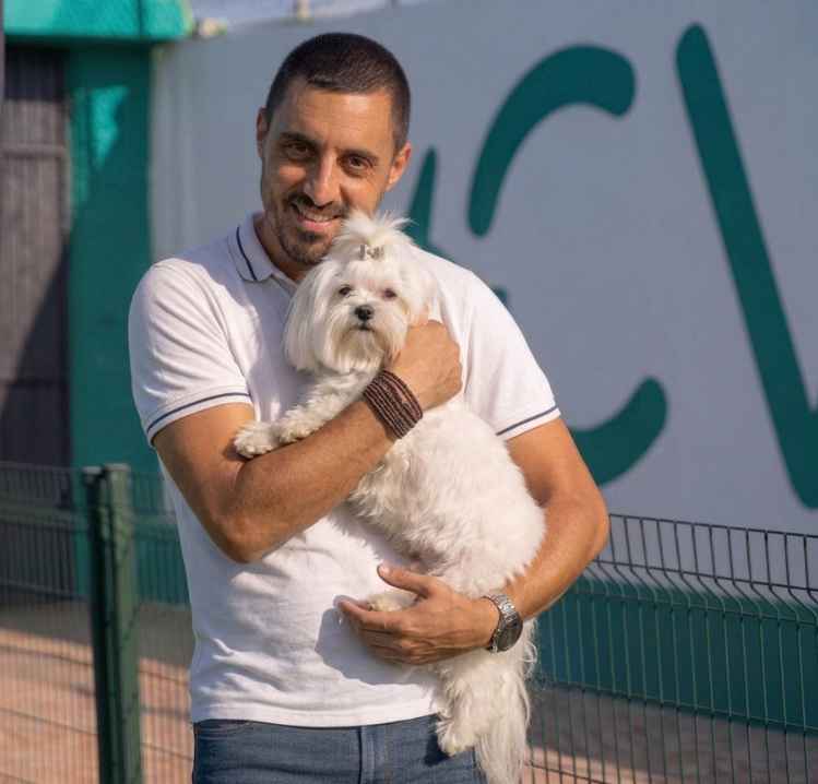 Adiestramiento de un Bichon Maltes